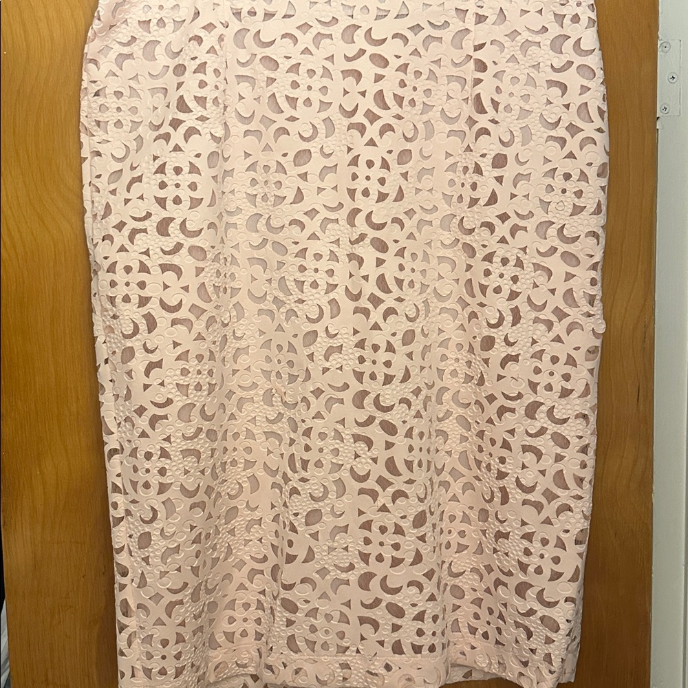 Moshita Pale Pink Lace Button two piece suit - Picture 11 of 16